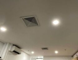 Beauty World Plaza (D21), Shop House #635905611